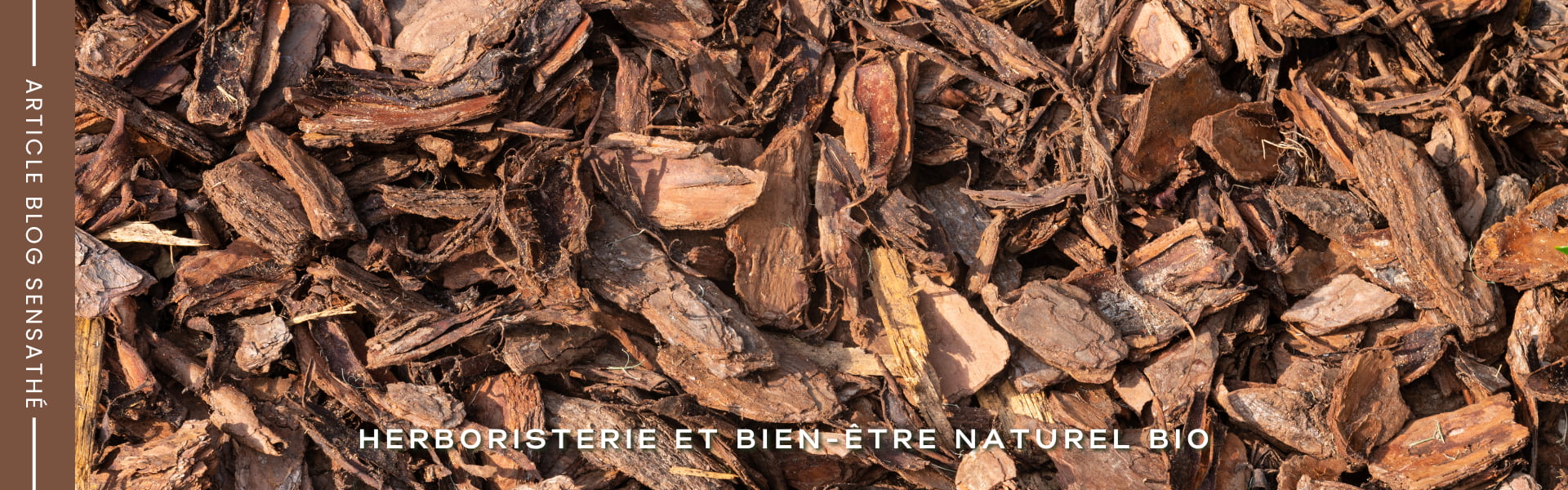 Bourdaine, laxatif naturel - Herboristerie Sensathé Bourdaine, laxatif naturel - Herboristerie Sensathé